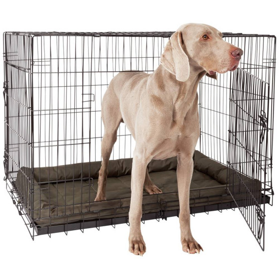 Home Double Door Dog & Cat Crate Cage - Extra Large
