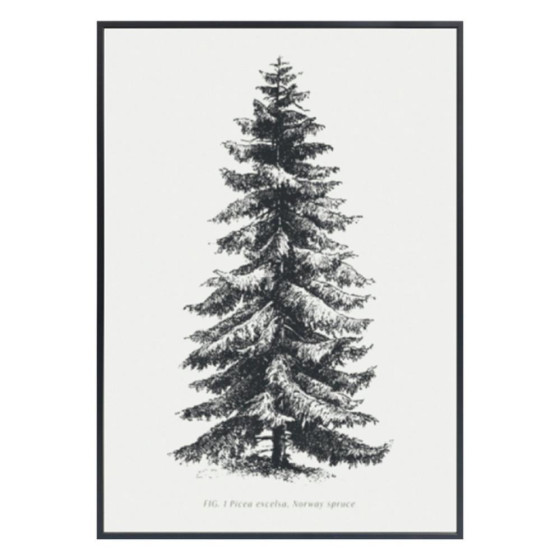 Habitat Tree Sketch Framed Wall Art - 42x59cm