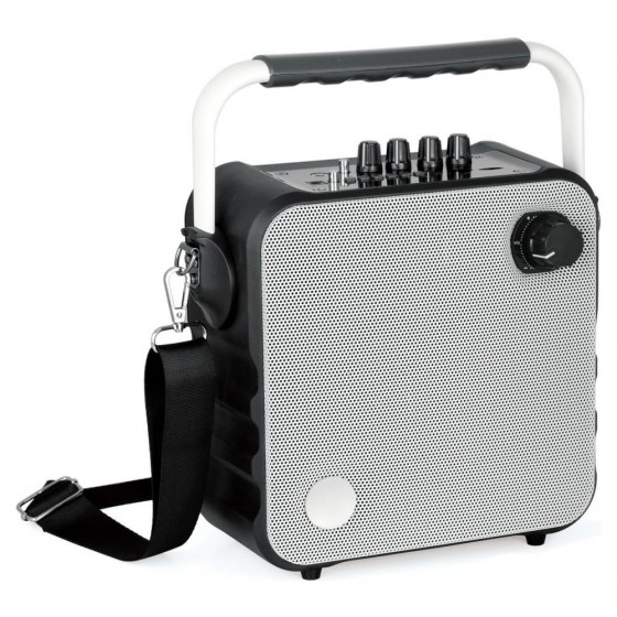 Mini Party Box Portable PA System