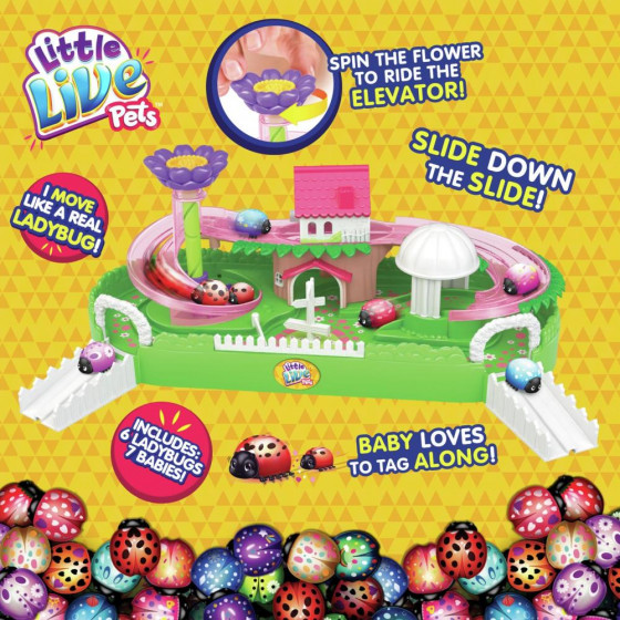 Little Live Pets Ladybug Special Set