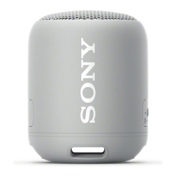 Sony SRS-XB12 Waterproof Wireless Speaker - Grey