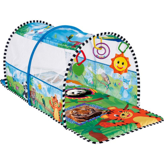 Baby Einstein 2-in-1 Gym and Tunnel