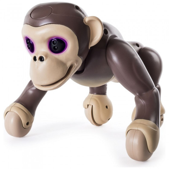 Zoomer Chimp