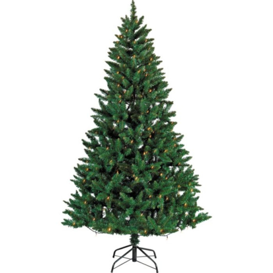 6ft Green Spruce Tree (Tree Only)
