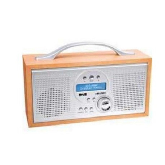 Bush NE-3125 Portable DAB FM Radio