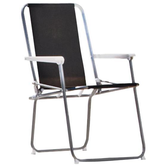 Folding Picnic Chair - Black