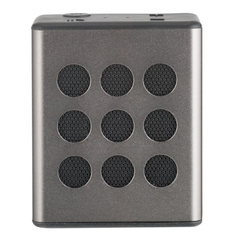 Bush shop wireless speaker
