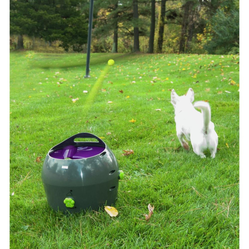 PetSafe Automatic Ball Launcher Grey Other Travel & Outdoor