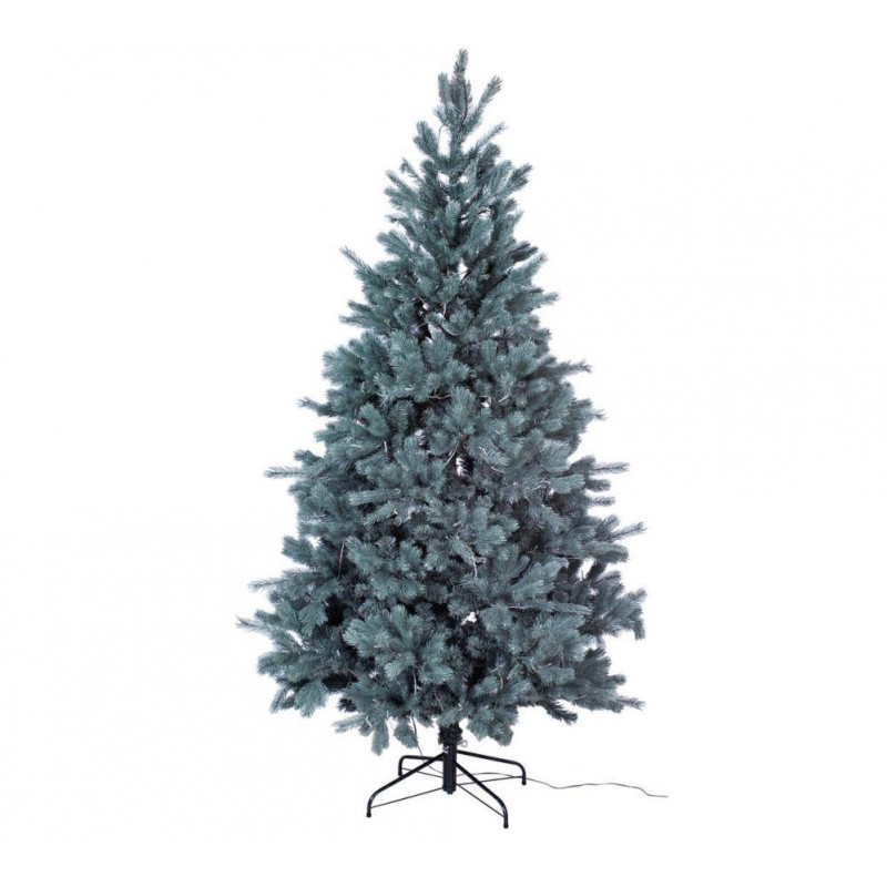 Collection 6ft PreLit Christmas Tree Frosted Christmas Trees