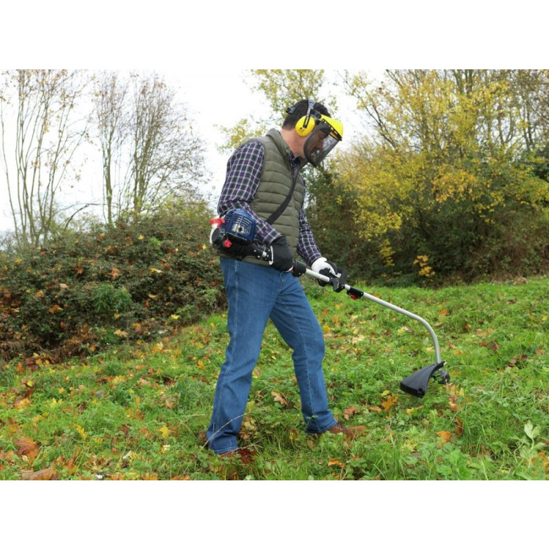 Spear and outlet jackson strimmer petrol