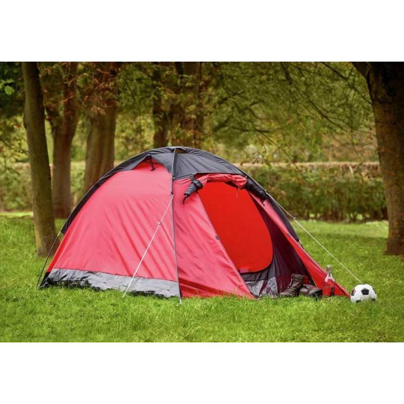 Proaction 2 man on sale tent