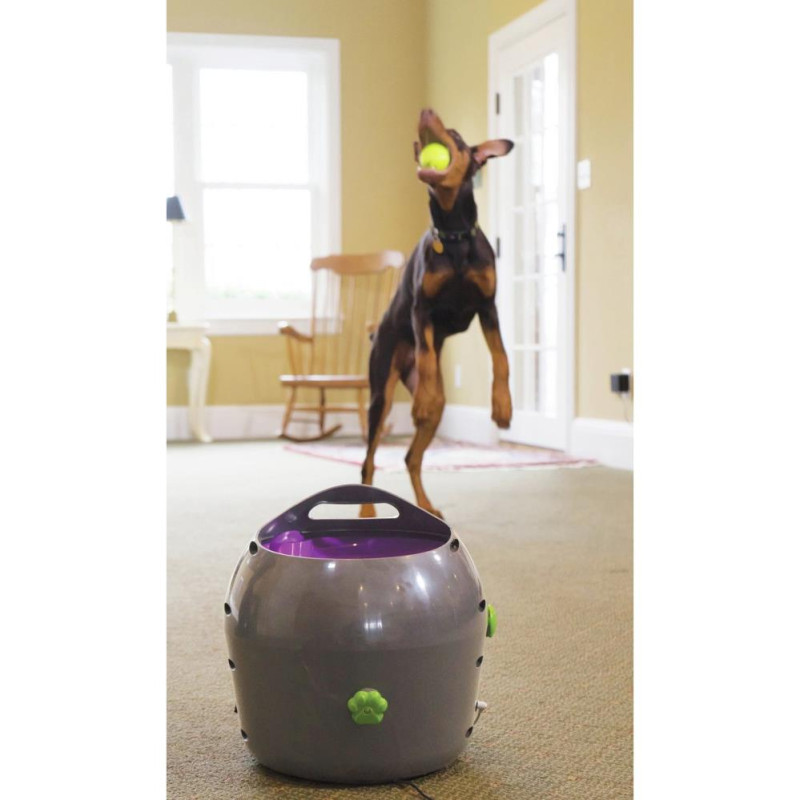 PetSafe Automatic Ball Launcher Grey Other Travel & Outdoor