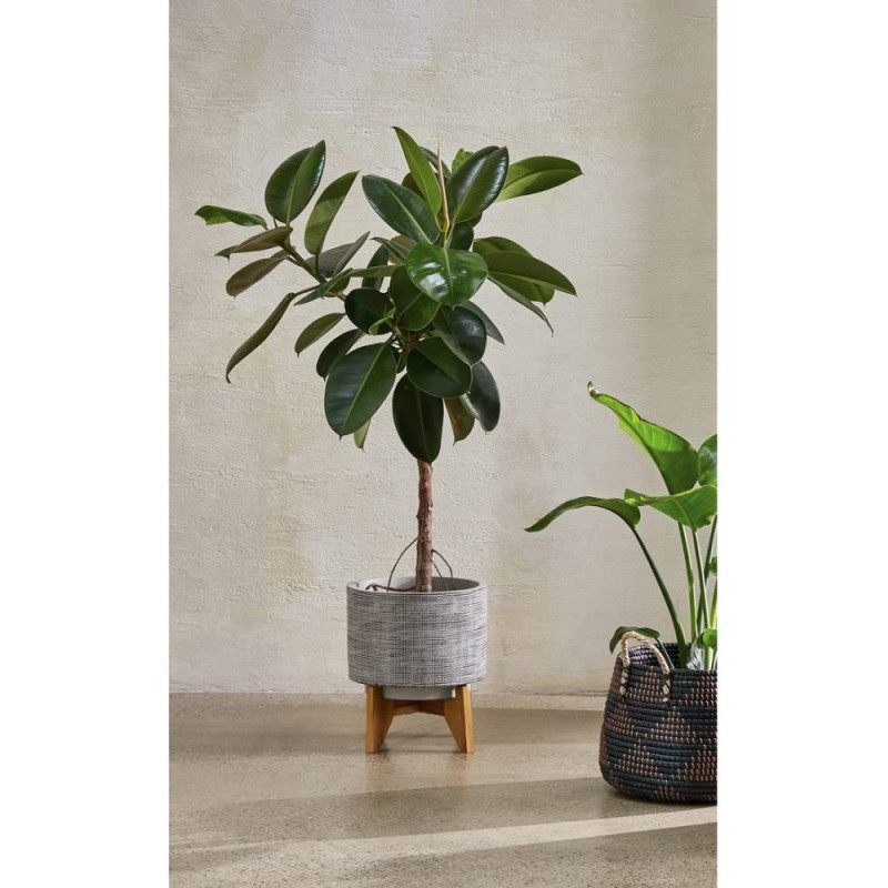 Habitat Awel Grey Terracotta Planter On Wooden Legs Other Furniture