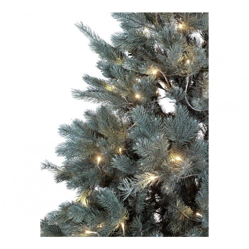 Collection 6ft PreLit Christmas Tree Frosted Christmas Trees