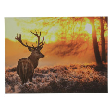 Home 80 x 60 cm Deer Stag Forest Wild Wall Art Print