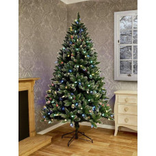 Premier Decorations 6ft Pre-Lit Rockingham Forest Frazer Christmas Tree