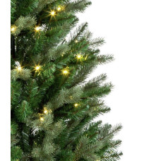 Premier Decorations 6ft Campbell Spruce Pre-Lit Christmas Tree - Green