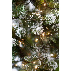 Habitat 6ft Pre-Lit Snow Tipped Christmas Tree - Green	