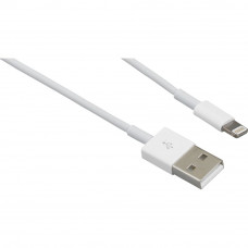 Apple Lightning to USB Cable