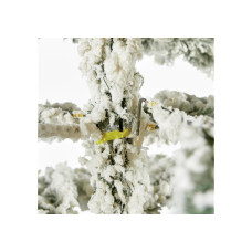 Premier Decorations 6ft Snow Flocked Mountain Pine Christmas Tree